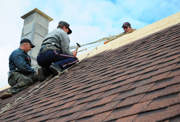 Best Residential Roofing Contractor  in South Corning, NY